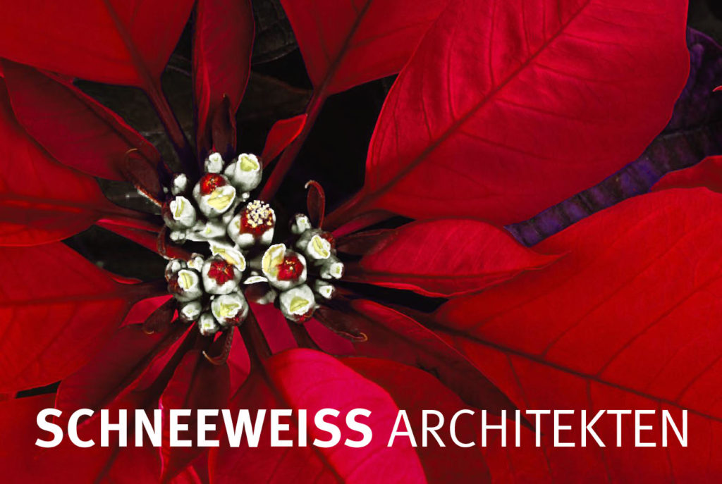 Frohe Weihnachten und ein Gutes Erfolgreiches Jahr 2019 wünscht SCHNEEWEISS ARCHITEKTEN